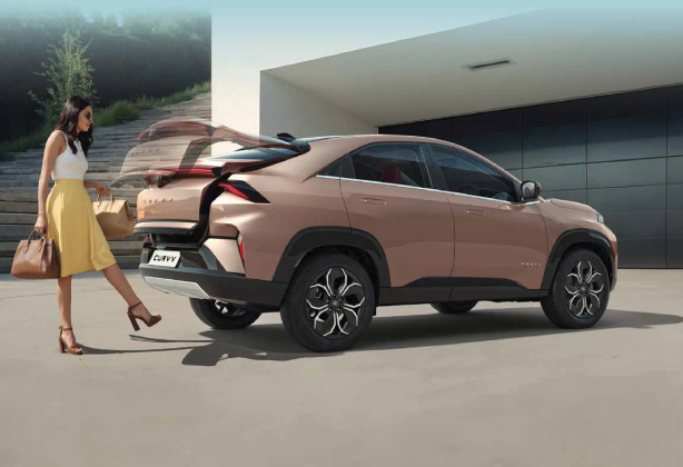 Gesture Controlled Powered Tailgate Gesture Controlled Powered Tailgate